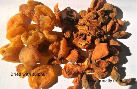 sun-dried organic apricot difference